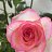  @Lakshmi@,  -  19  2025