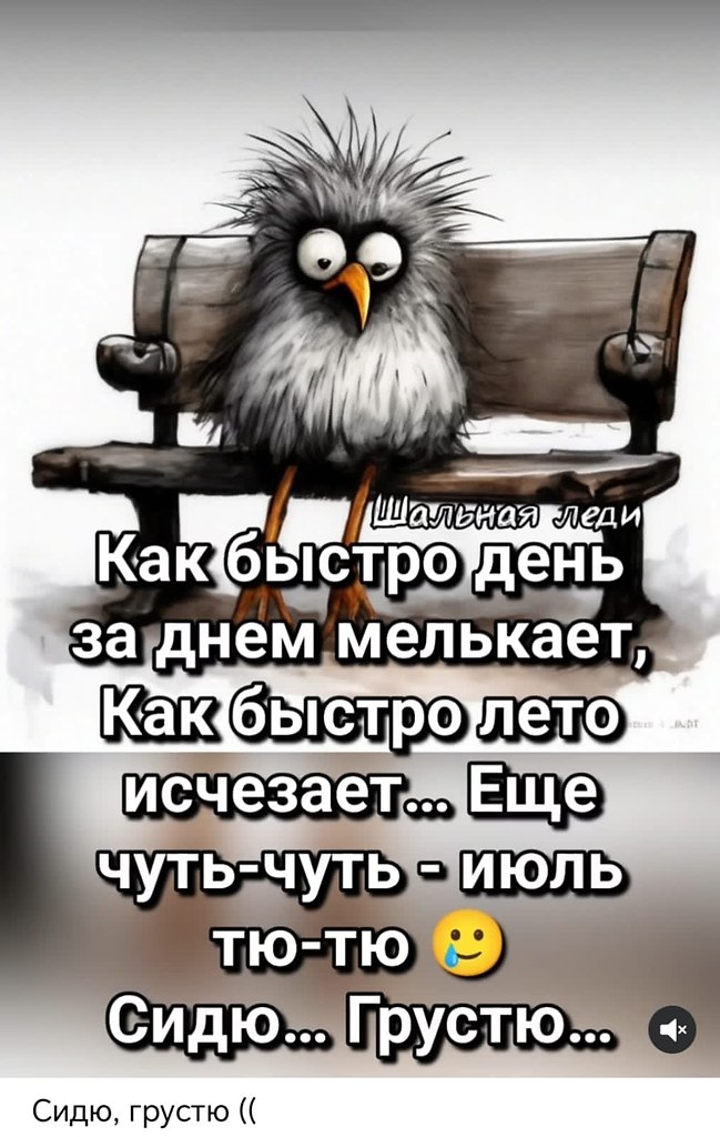  - 31  2025  12:05