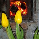 ���� Che, ����, 103 ���� - ��������� 9 ����� 2026 � ������ ���� ����������