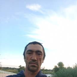 , 49, 