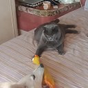 ���� ���������, �����-��������� - ��������� 29 ������ 2026 � ������ ���� ����������