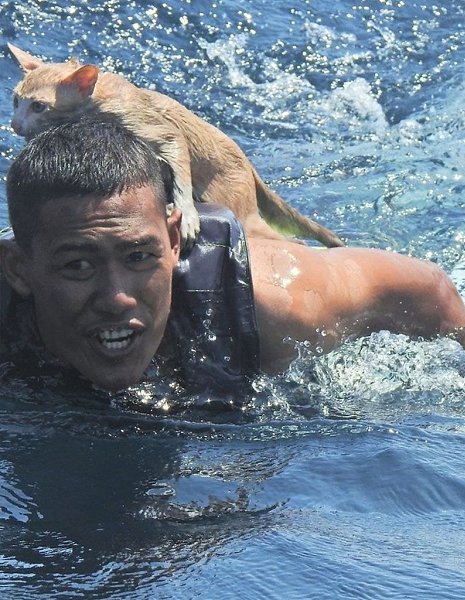    23-      .     ... - 2