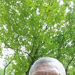 , 42 , 