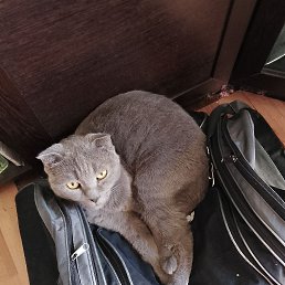 ���� �����, ������-��-����, 60 ��� - ��������� 28 ������� 2025