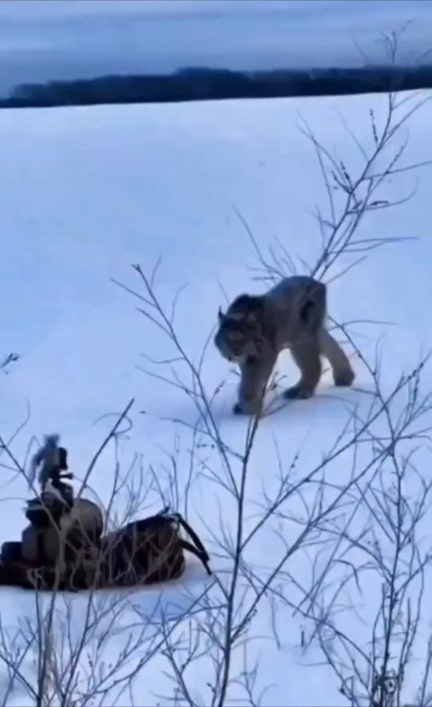 ce o oao: oopa a, o c  oa paoae o e p, o  c ...