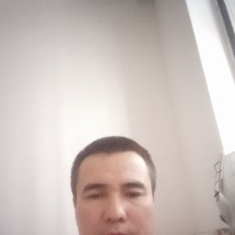 , 37, 
