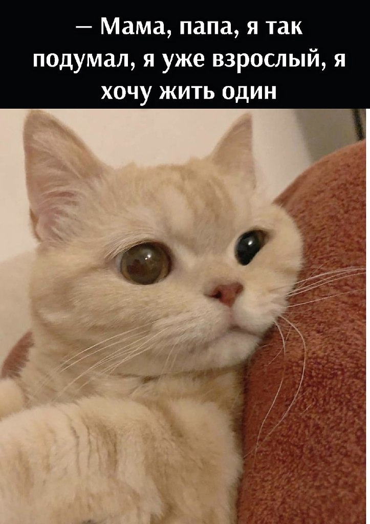       - 14  2025  17:34