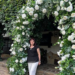 �������, �������, 48 ���