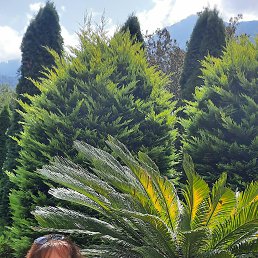  ,  , 49  -  26  2024