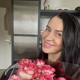 Nika, �����������, 48 ���