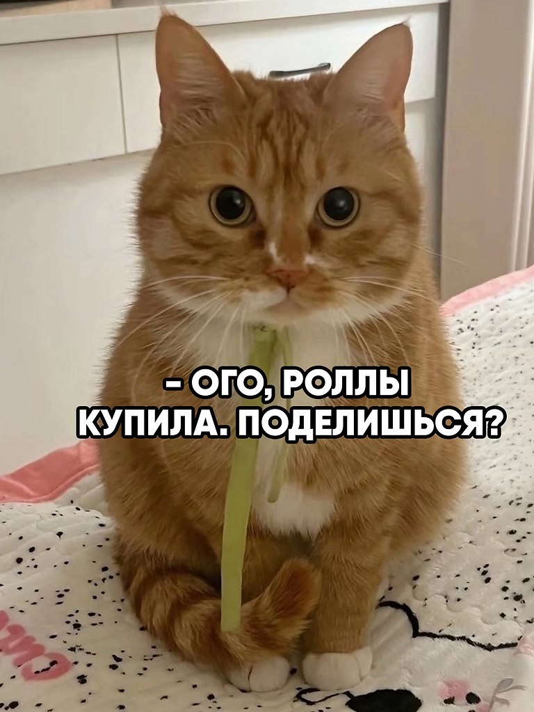        .    ,   ...