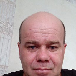 �����, 41 ���, �����������