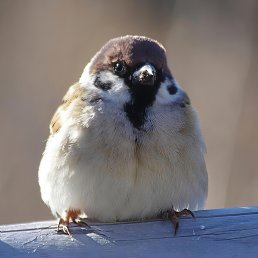 ���� ���������, ����, 47 ��� - ��������� 6 ����� 2026