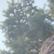 ��������, 27 ���, �����-���������