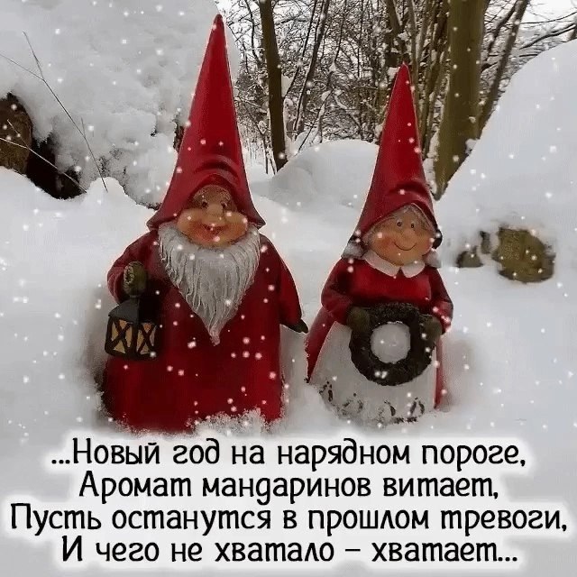  - 11  2024  09:22