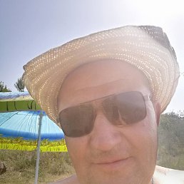 , 52, 