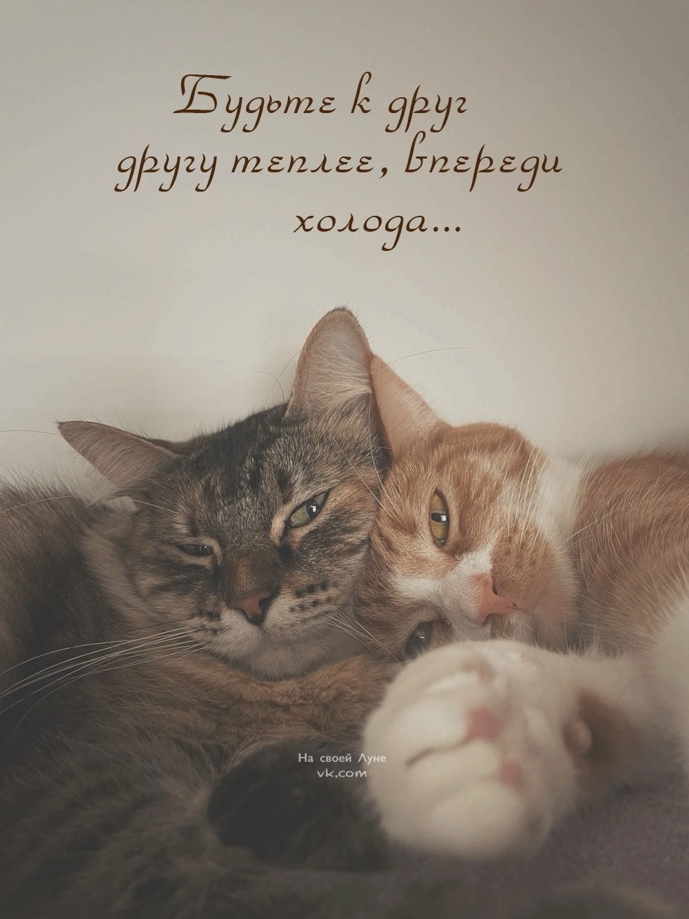  - 8  2025  07:39