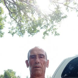  , 65,  