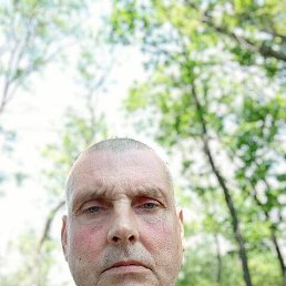 ���� ϸ��, ��������, 50 ��� - ��������� 28 ������ 2026