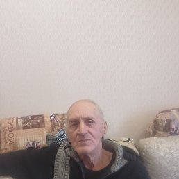 , 66, 