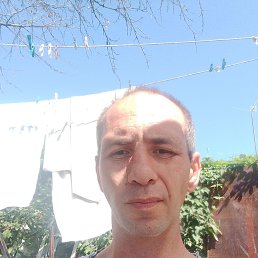 , 41, -