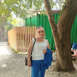 , 61, 