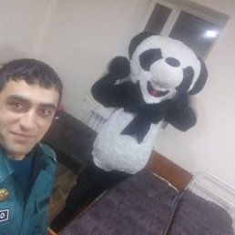 , 33, 