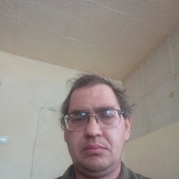 ����, 46 ���, ����������