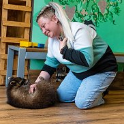 �������, 40 ���, ������