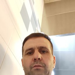 , 41, 