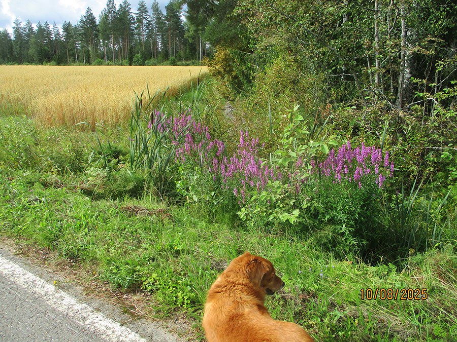    !          -  .  ...