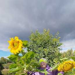 ������, ������������, 66 ���