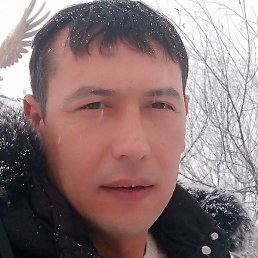 ��������, �����������, 38 ���