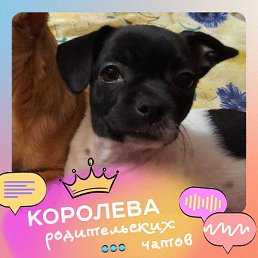 ����, ������, 46 ���