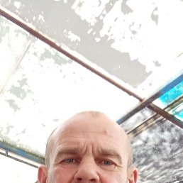 , 51 ,  