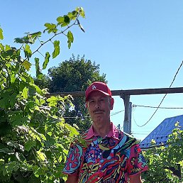 ���� ,�������� ., ��������, 68 ���