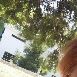 �����, �������, 41 ���