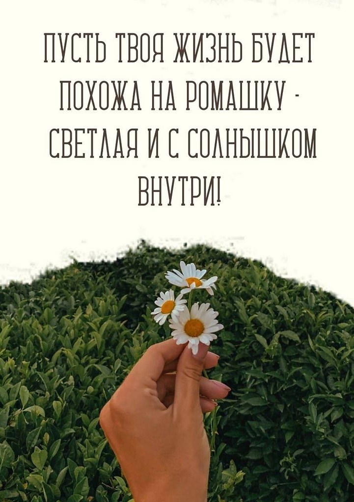   ,    . - 10  2025  16:02 - 4