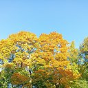 ���� �����, �����-��������� - ��������� 11 ������� 2025 � ������ ���� ����������