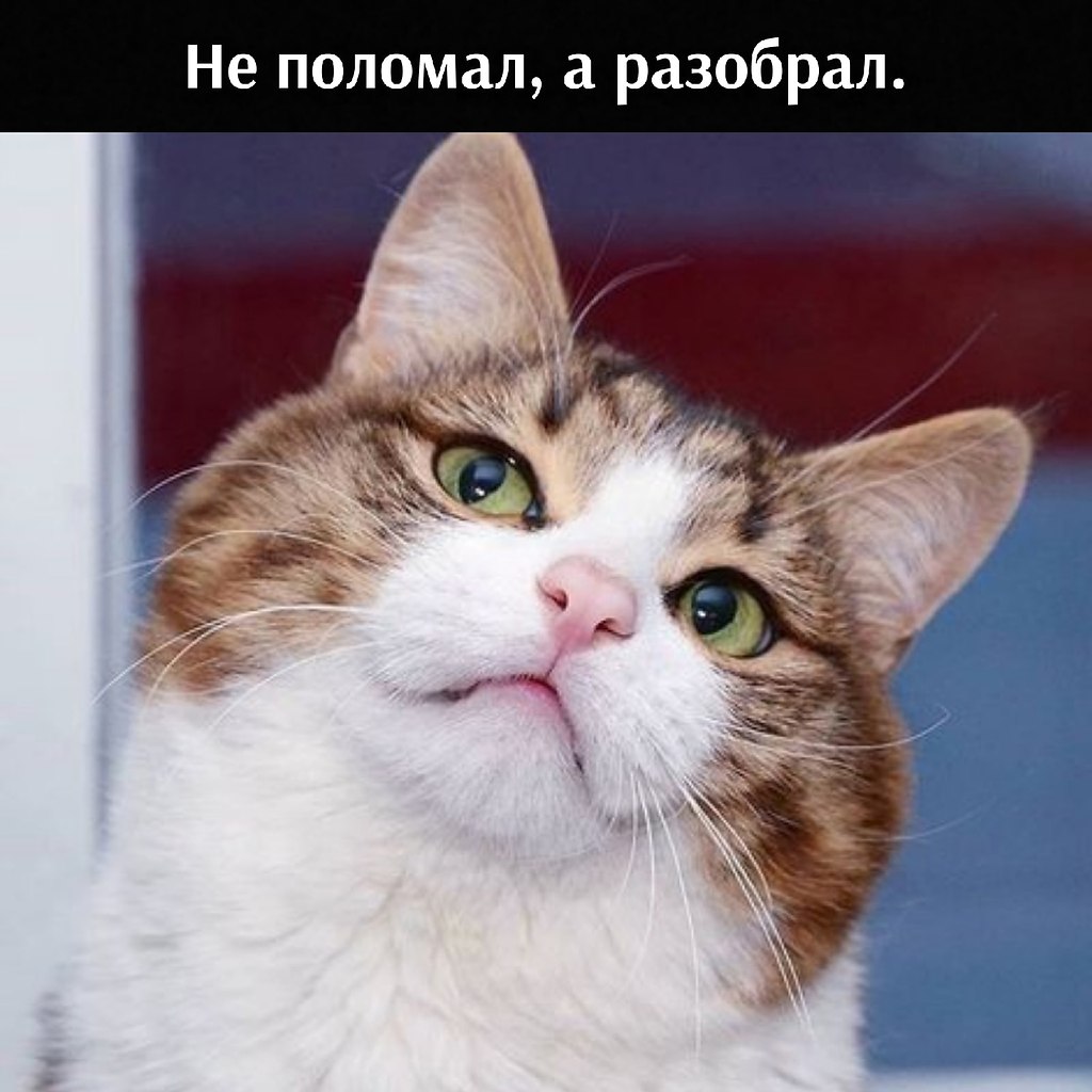 , ,    . - 3