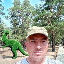 , 37, 