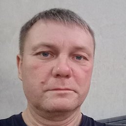 �������, �����, 49 ���