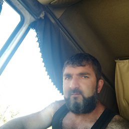 , 37, 