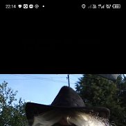 ����, 59 ���, ������