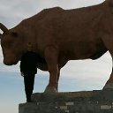 ���� ������, ���������, 57 ��� - ��������� 27 ������� 2023 � ������ ���� ����������