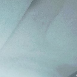 ��������, ����, 53 ����