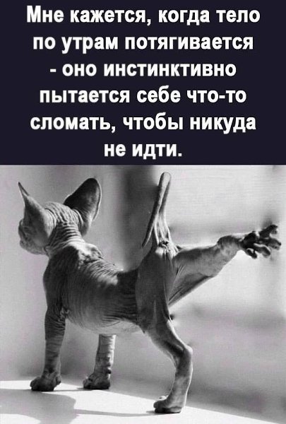   - 29  2025  09:08