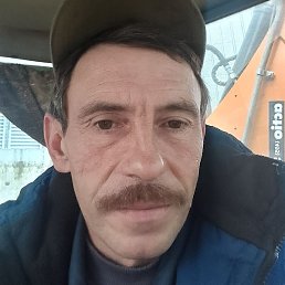 ������, ����, 50 ���