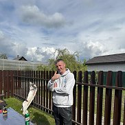 �������, 33 ����, ������