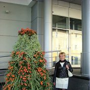 ����, 51 ���, ���������